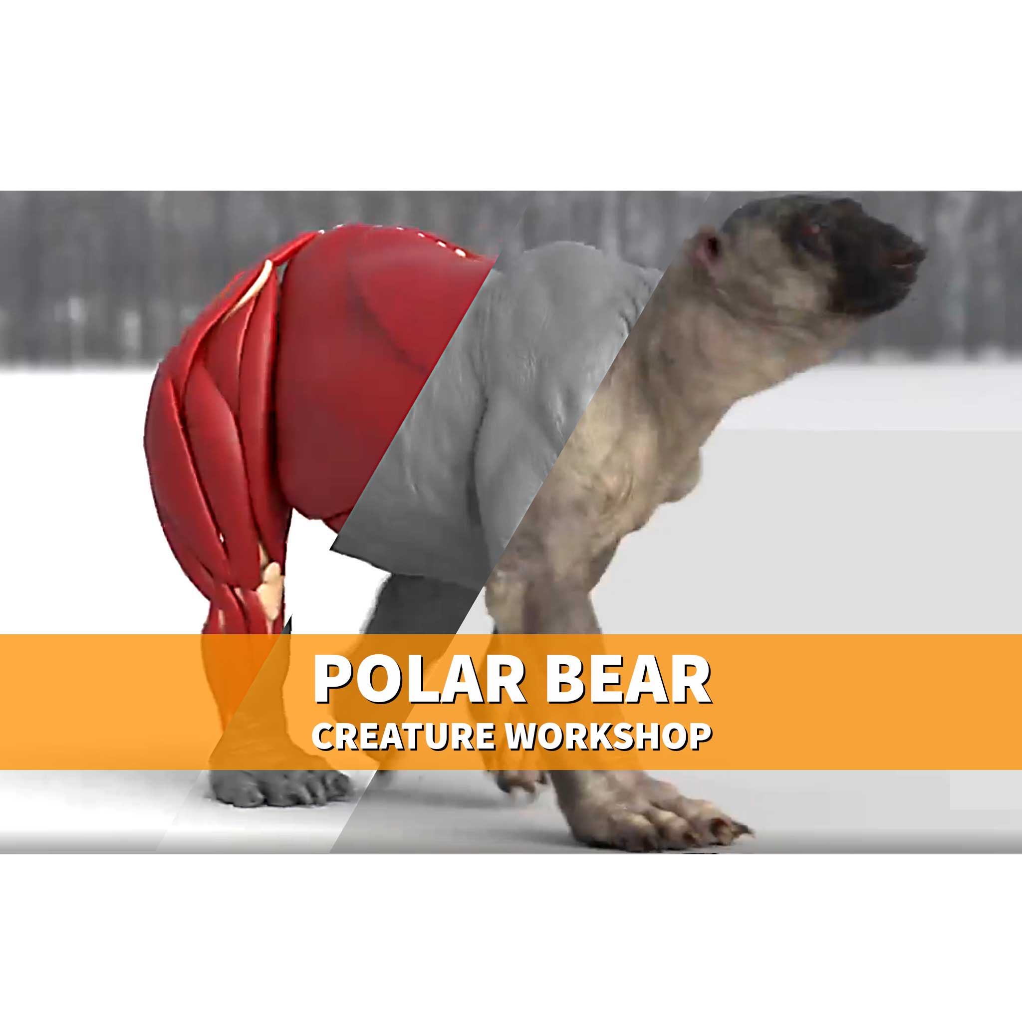 Polar Bear